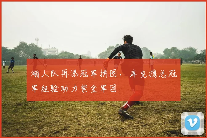 湖人队再添冠军拼图，库克携总冠军经验助力紫金军团