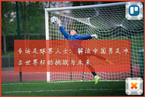 专访足球界人士:解读中国男足冲击世界杯的挑战与未来