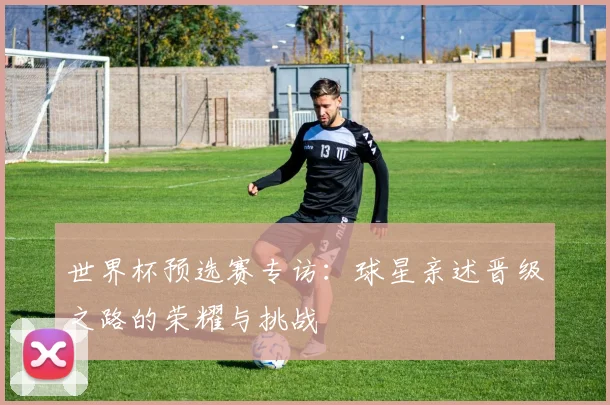 世界杯预选赛专访：球星亲述晋级之路的荣耀与挑战