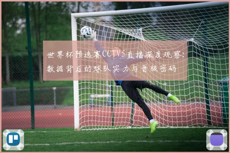 世界杯预选赛CCTV5直播深度观察：数据背后的球队实力与晋级密码