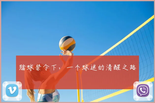 赌球禁令下，一个球迷的清醒之路