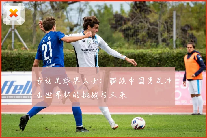 专访足球界人士:解读中国男足冲击世界杯的挑战与未来
