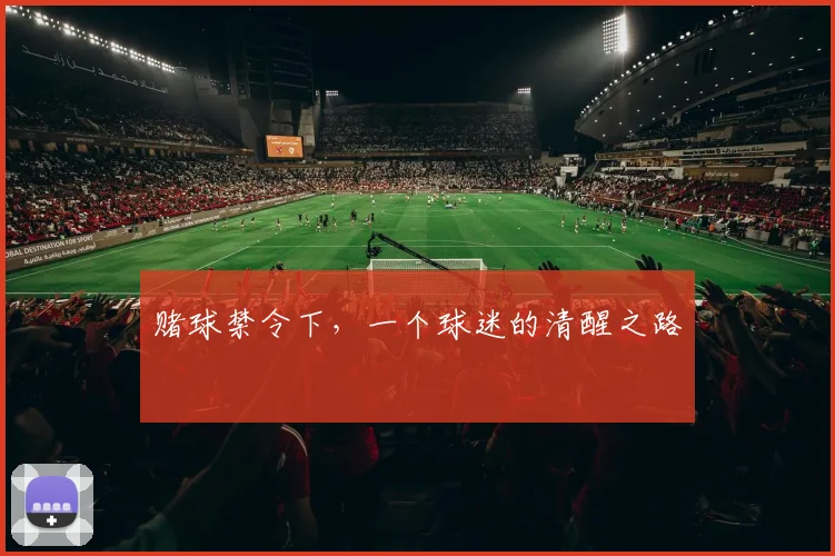 赌球禁令下，一个球迷的清醒之路