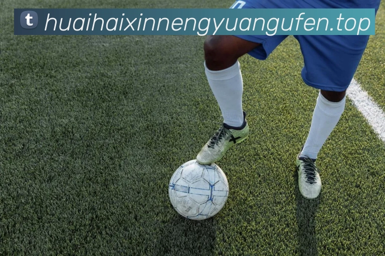 milan米兰官网APP 封面图