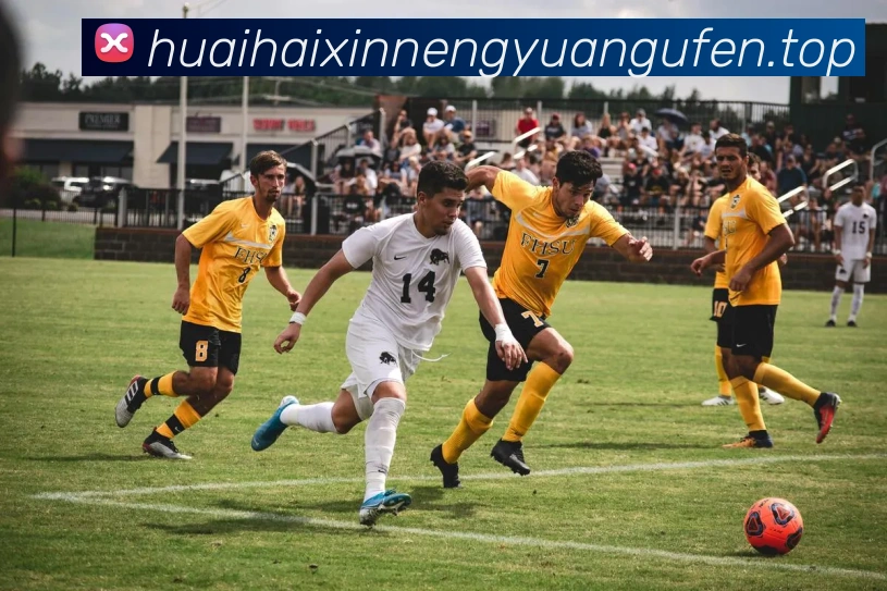 数据防护可视化